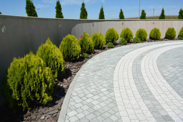 Best Driveway Paver Repair  in Richmond Heights, FL